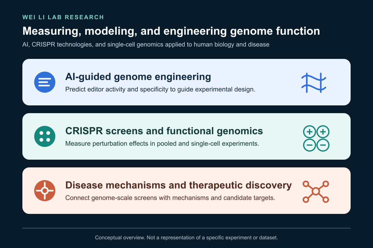 Conceptual overview connecting AI-guided genome engineering, functional genomics, and disease mechanisms in the Wei Li Lab research program.